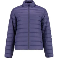 Kurtki i kamizelki sportowe męskie - Kurtka puchowa męska TDJAM483 4F - miniaturka - grafika 1