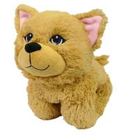 Maskotki i pluszaki - TM Toys Snapetz Pluszowy Kotek Ginger SNAPETZ - miniaturka - grafika 1