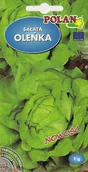 Nasiona i cebule - Sałata Oleńka 1 g POLAN - miniaturka - grafika 1