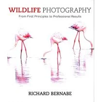 Richard Bernabe Wildlife Photography - Albumy obcojęzyczne - miniaturka - grafika 1