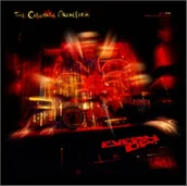 Winyle - Cinematic Orchestra Everyday Limited Edition Vinyl) - miniaturka - grafika 1