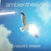Muzyka relaksacyjna - AMBIENT HEAVEN NATUR - miniaturka - grafika 1