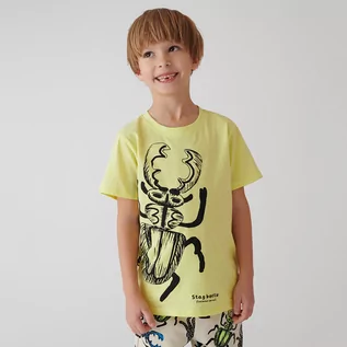 Koszulki dla chłopców - Cool Club, T-shirt chłopięcy, żółty - grafika 1