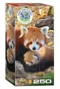 Eurographics Puzzle 250 Czerwone pandy 8251-5557 - Puzzle - miniaturka - grafika 2