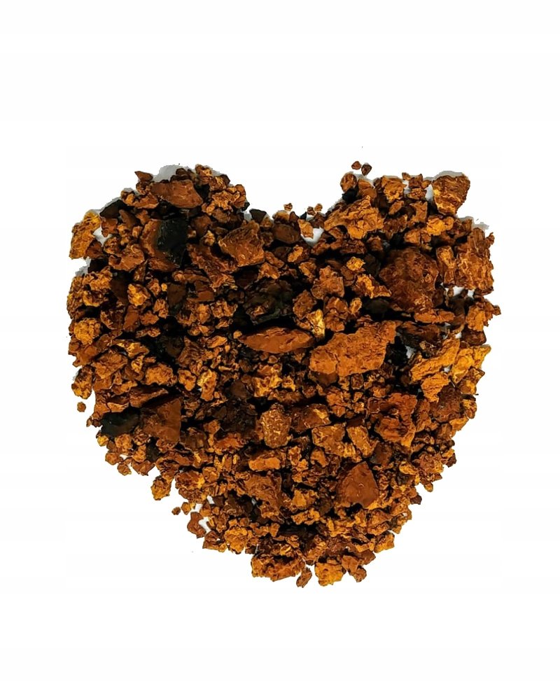 Guz brzozy brzozowy Czaga Czyr Błyskoporek podkorowy Cięty MysticGarden 1kg