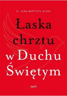 Łaska chrztu w Duchu Świętym - Religia i religioznawstwo - miniaturka - grafika 2