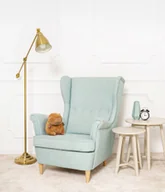 Maskotki i pluszaki - DUŻA KAPIBARA HENRY MASKOTKA MIŚ PLUSZAK PRZYTULANKA PLECAK ŻÓŁW - 23cm - miniaturka - grafika 1