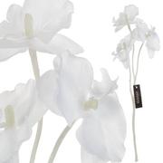 Sztuczne kwiaty - Roślina szt. - gałązka białej orchidei_Aluro - miniaturka - grafika 1