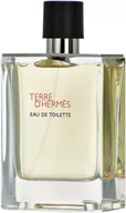 Wody i perfumy męskie - Tester woda toaletowa dla mężczyzn Hermes Terre D'hermes 100 ml (3346130009627) - miniaturka - grafika 1