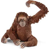 Figurki dla dzieci - Schleich Wild Life - Orangutan samica, figurka dla dzieci 3+ - miniaturka - grafika 1