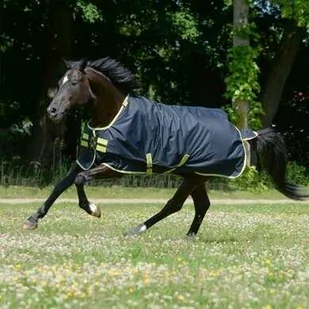 BUCAS Derka padokowa z kołnierzem OASIS TURNOUT 100g 900D - dark grey/lime - Derki dla konia - miniaturka - grafika 1