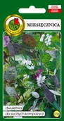 Nasiona i cebule - MIESIĘCZNICA 0,5g - miniaturka - grafika 1