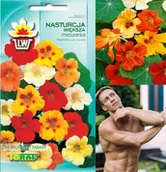 Nasiona i cebule - Toraf KWIATY Nasturcja większa mix nasiona 5g 00445 - miniaturka - grafika 1
