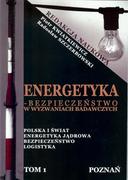 Technika - Fundacja na rzecz Czystej Energii Energetyka w wyzwaniach badawczych praca zbiorowa - miniaturka - grafika 1