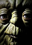 Plakaty - Face It! Star Wars Gwiezdne Wojny - Master Yoda - plakat 42x59,4 cm - miniaturka - grafika 1