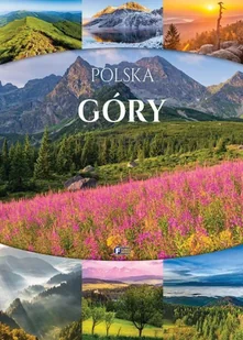 Polska. Góry - Albumy inne - miniaturka - grafika 1