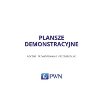 Wydawnictwo Szkolne PWN Plansze demonstracyjne Roczne przygotowanie przedszkolne - Wydawnictwo Szkolne PWN