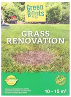 Nasiona i cebule - Regeneracja trawnika Nasiona uzupełniające 250 g - miniaturka - grafika 1