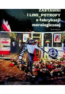 Książki o kulturze i sztuce - Zastawki i lili potrofy fabrykacji meralogicznej - miniaturka - grafika 1