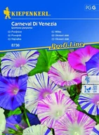 Nasiona i cebule - Wilec Carneval Di Venezia – Kiepenkerl - miniaturka - grafika 1