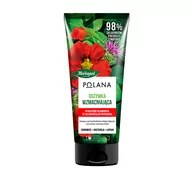 Odżywki do włosów - HERBAPOL POLANA WZMACNIAJĄCA ODŻYWKA DO WŁOSÓW OSŁABIONYCH ZE SKŁONNOŚCIĄ DO WYPADANIA 200ML - miniaturka - grafika 1