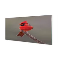 Dekoracje domu - Panel ścienny Czerwona papuga na gałęzi 120x60 cm - miniaturka - grafika 1