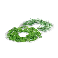 Akcesoria i części AGD - Sito do suszenia ziół SO-1030, 1020, 1025, 1040, 1050 2020 - miniaturka - grafika 1