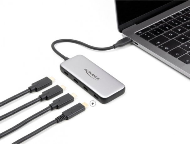HUB USB Delock DeLOCK USB 10 Gbps USB Type-C Hub with 4 x USB Type-C, USB hub grey 64261