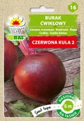 Nasiona i cebule - Burak Ćwikłowy Czerwona Kula 2 - miniaturka - grafika 1