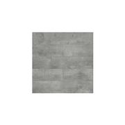 Panele podłogowe - Panele podłogowe Paloma Aqua Block D1038 Beton Millenium AC5/8mm - miniaturka - grafika 1
