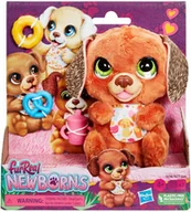 Zabawki interaktywne dla dzieci - Interaktywny Piesek Bobas Furreal Zabawka Dzwiękowa Ruchowa Dla Dzieci - miniaturka - grafika 1