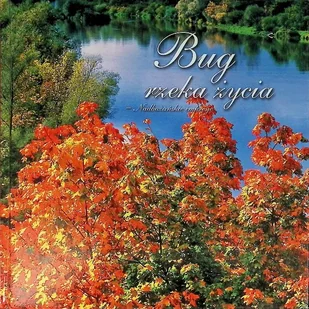 Bug rzeka życia - Książki o kulturze i sztuce - miniaturka - grafika 1