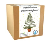 Ozdoby bożonarodzeniowe - Choinka Na Pniu Drzewko Świateczne Zestaw Do Uprawy Choinki Świerk Srebrny - miniaturka - grafika 1