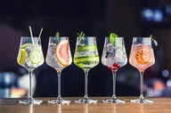 Czasopisma - Degustacja 5 koktajli w Restauracji Eliksir w Gdańsku - miniaturka - grafika 1