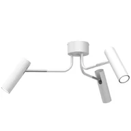 Lampy sufitowe - Uniwersalna, biało-srebrna lampa sufitowa LX 332 z serii AXION - miniaturka - grafika 1