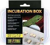 Akcesoria do terrarium - Exo Terra Box Inkubacyjny, 16,5 x 11 x 5cm - miniaturka - grafika 1