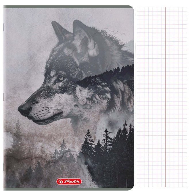 Zeszyt A4 96 kartek w kratkę z marginesem 70g Wild HERLITZ