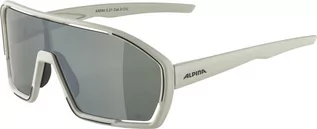 Okulary sportowe - Alpina Alpina Bonfire Q-Lite Glasses, szary  2022 Okulary 8686021 - grafika 1