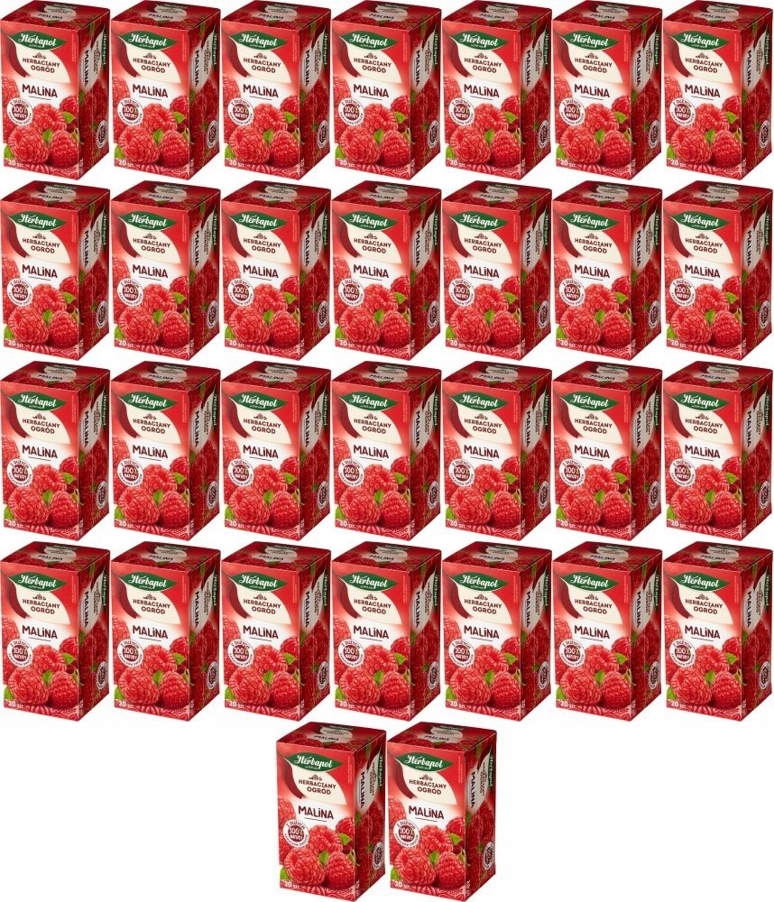 Herbata owocowa w torebkach Herbapol Herbaciany Ogród malina 20szt x50