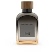 Wody i perfumy męskie - Adolfo Dominguez, Ébano Salvia, Woda perfumowana, 120 ml - miniaturka - grafika 1