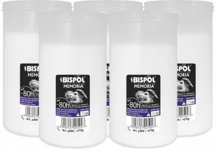 ZESTAW Wkłady do zniczy parafinowe BISPOL P500 80H 5szt. + Zapałki DABSTER_PL 38szt. - Lampiony i znicze - miniaturka - grafika 1