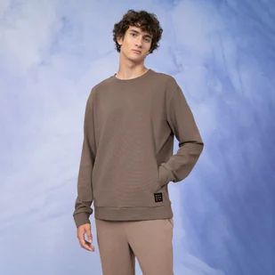 Męska bluza dresowa nierozpinana bez kaptura OUTHORN OTHAW22TSWSM088 - brązowa - Outhorn - Bluzy sportowe męskie - miniaturka - grafika 1