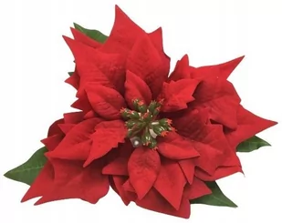 Gwiazda Welurowa Duża Poinsecja Betlejemska Czerwona Jak Żywa Na Bukiet - Sztuczne kwiaty Gwiazda Welurowa Duża Poinsecja Betlejemska Czerwona Jak Żywa Na Bukiet - Sztuczne kwiaty - miniaturka - grafika 1