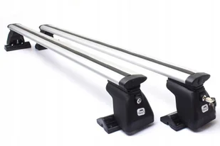 Bagażnik dachowy Renault Espace mk III MPV 5D rok 1998-2002 - Bagażniki dachowe Bagażnik dachowy Renault Espace mk III MPV 5D rok 1998-2002 - Bagażniki dachowe - miniaturka - grafika 1