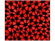 Fototapety - Oobrazy Fototapeta, Czerwone plamy 3d, 6 elementów, 268x240 cm - miniaturka - grafika 1