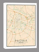 Obrazy i zdjęcia na płótnie - Padwa, Włochy mapa kolorowa - obraz na płótnie Wymiar do wyboru: 40x50 cm - miniaturka - grafika 1