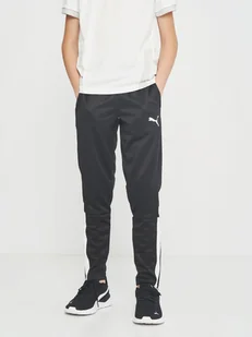 Sportowe spodnie dla chłopca Puma teamLIGA Training Pants 65724303 176 cm Czarne (4063697063600) - Spodnie i spodenki dla chłopców - miniaturka - grafika 1