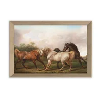 Obrazy i zdjęcia na płótnie - Obraz Paris Pic 50 x 70 cm PP017 Horses - miniaturka - grafika 1