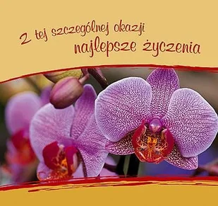 Z tej szczególnej okazji najlepsze życzenia - Aforyzmy i sentencje - miniaturka - grafika 1