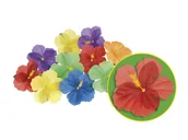 Gadżety dla niej i dla niego - Boland Płatki kwiatów Hibiskus kolorowe 24 szt B52513 - miniaturka - grafika 1